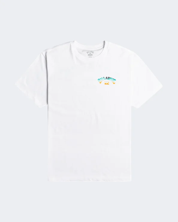 Billabong Arch Fill Men Lifestyle T-Shirt White